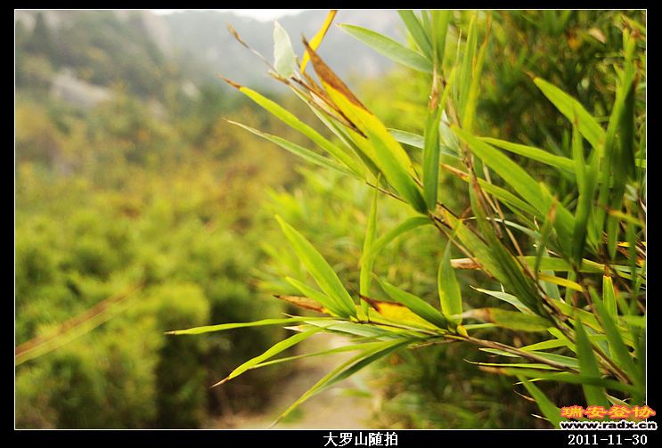 nEO_IMG_照片 011.jpg