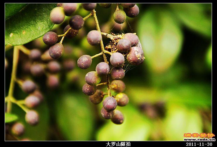 nEO_IMG_照片 008.jpg