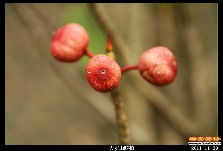 nEO_IMG_照片 021.jpg