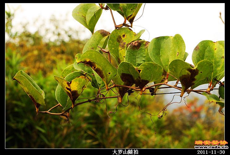 nEO_IMG_照片 013.jpg