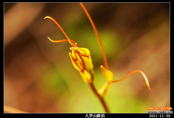 nEO_IMG_照片 018.jpg