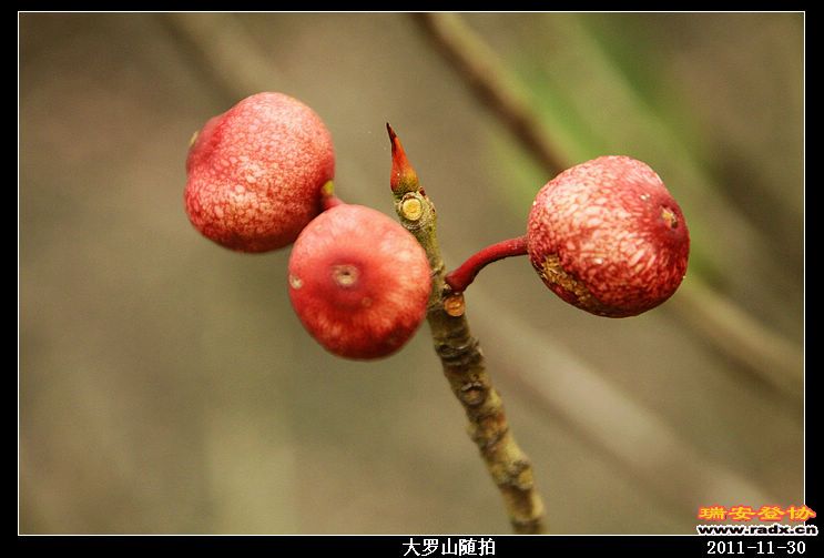 nEO_IMG_照片 022.jpg
