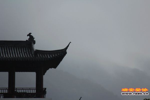 IMG_7312.jpg