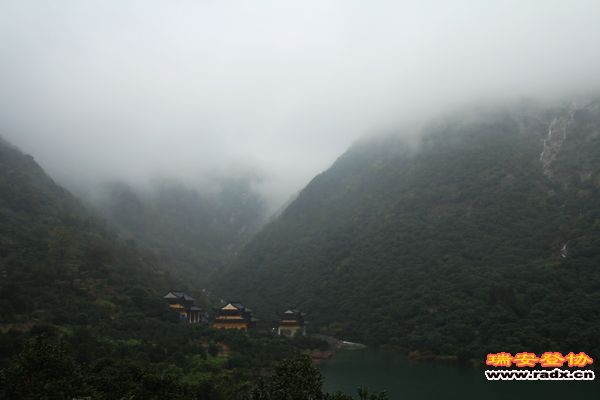 IMG_7348.jpg