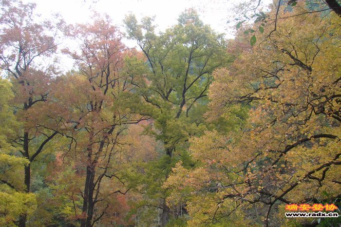 DSC07687.jpg