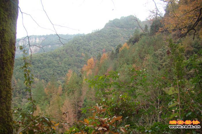 DSC07694.jpg