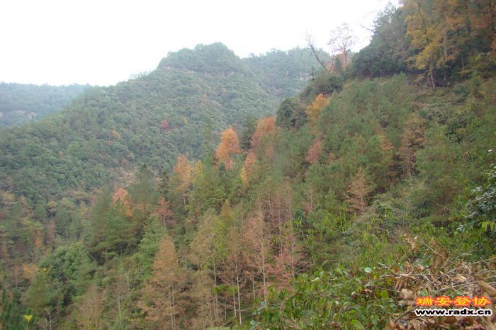 DSC07696.jpg