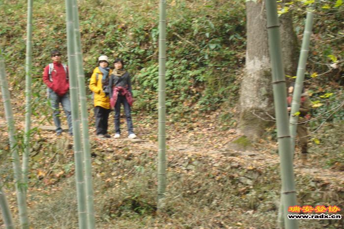 DSC07714.jpg