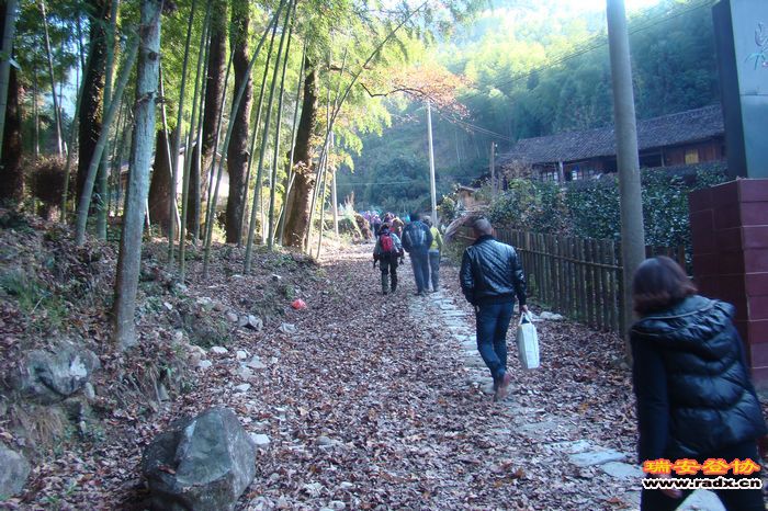 DSC07725.jpg