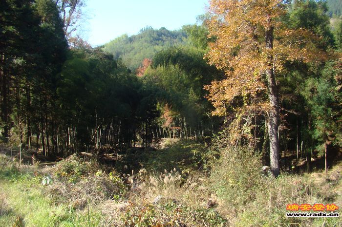DSC07727.jpg