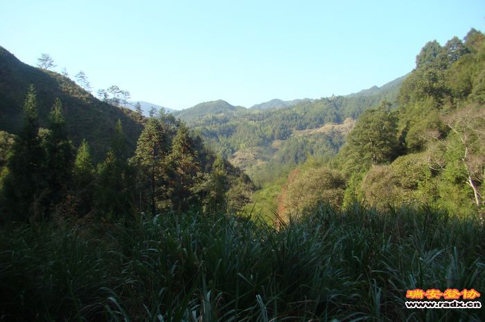 DSC07748.jpg