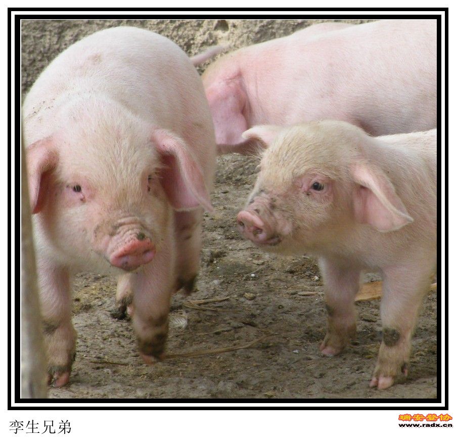 DSCF0321_conew1.jpg