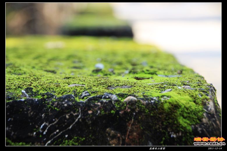 nEO_IMG_IMG_0268.jpg
