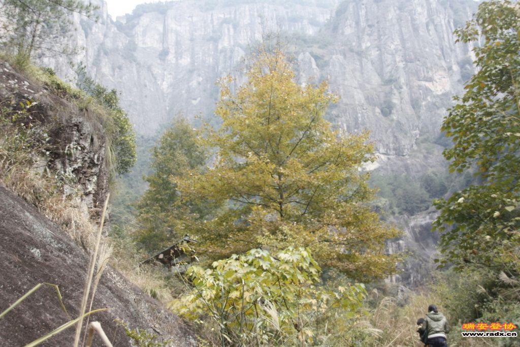 _MG_1013.JPG