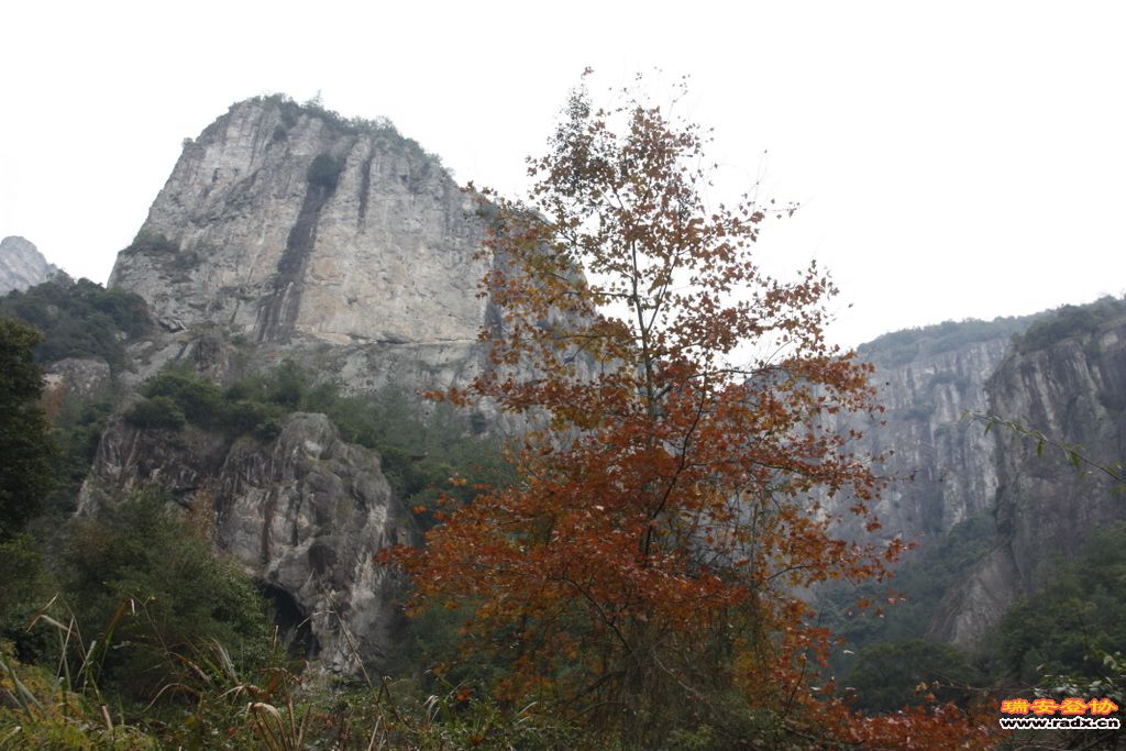 _MG_1016.JPG