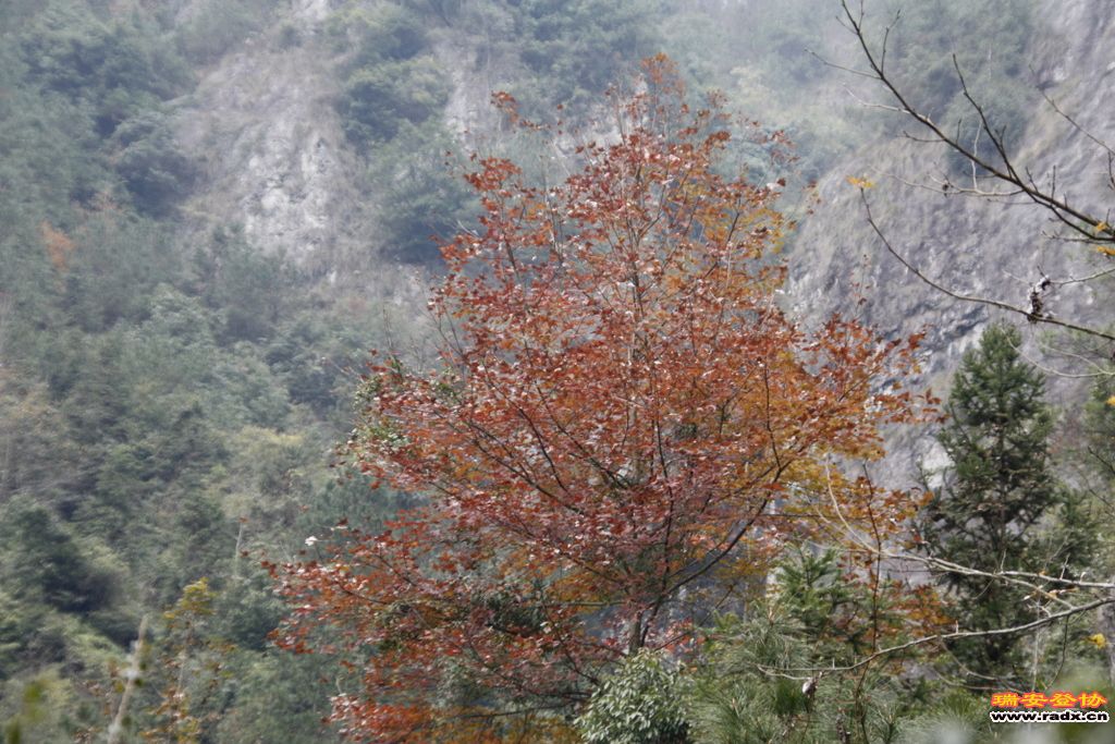 _MG_1040.JPG