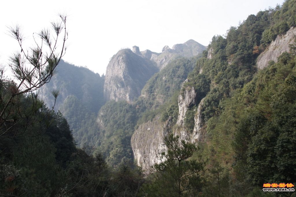_MG_1080.JPG