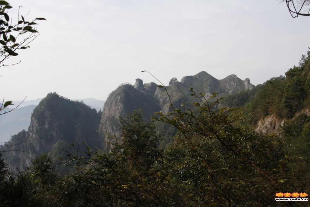 _MG_1083.JPG