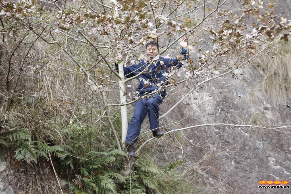 _MG_1108.JPG