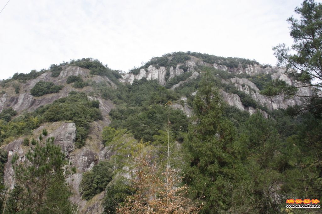 _MG_1131.JPG