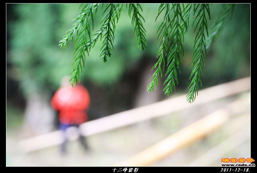 nEO_IMG_IMG_0155.jpg