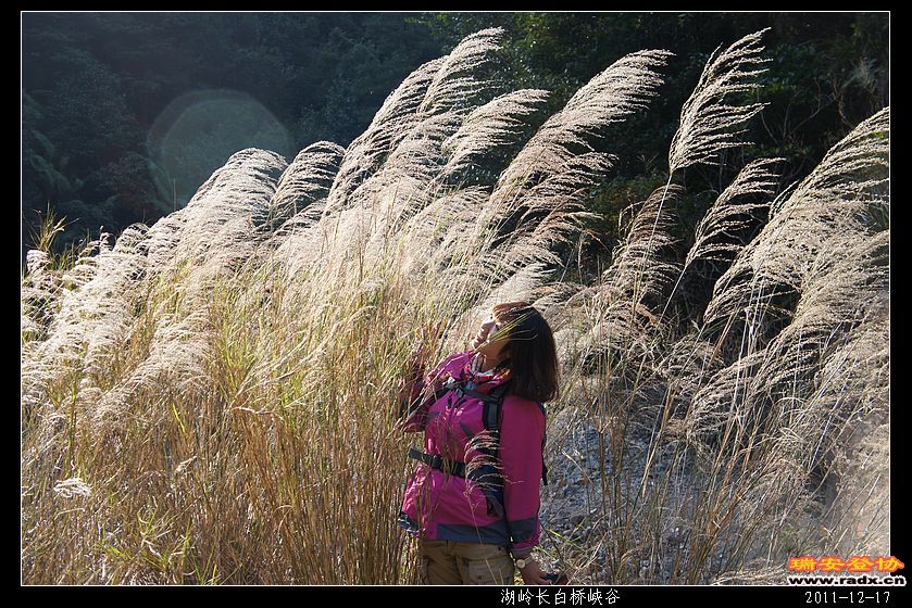 2011-12-17湖岭长白桥峡谷-287.jpg