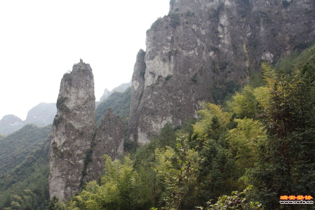 _MG_1174.JPG