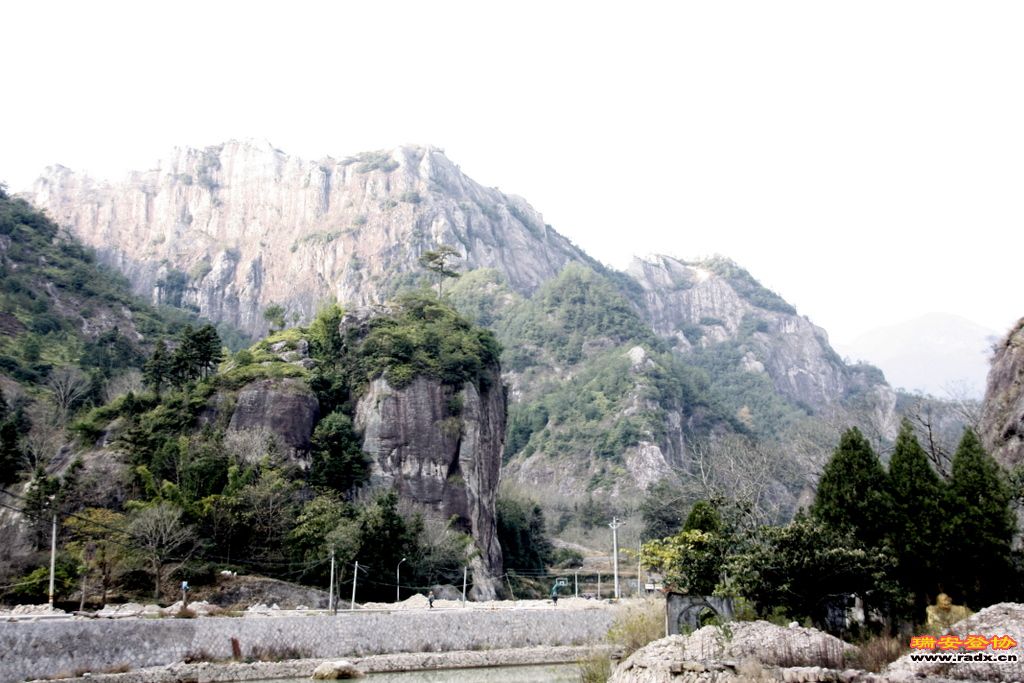 _MG_1384.JPG