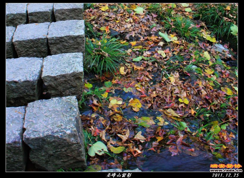 nEO_IMG_IMG_0377.jpg
