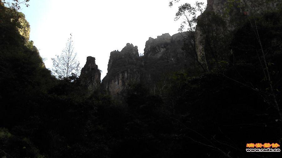 IMG_20111225_105949.jpg