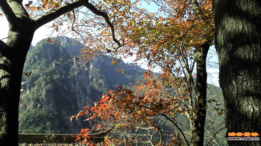 IMG_20111225_105457.jpg