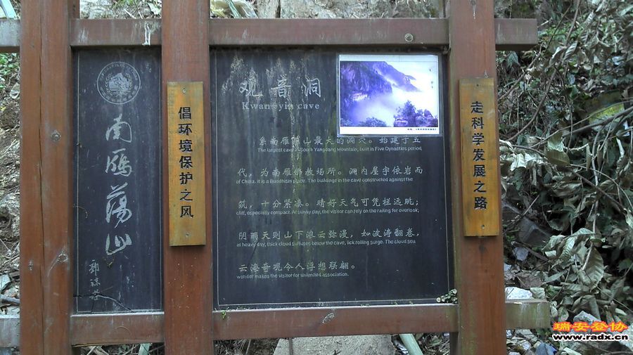 IMG_20111225_101954.jpg