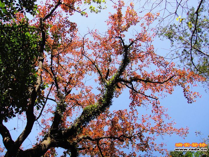 nEO_IMG_DSC03215.jpg