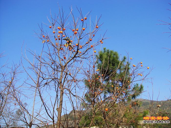 nEO_IMG_DSC03254.jpg