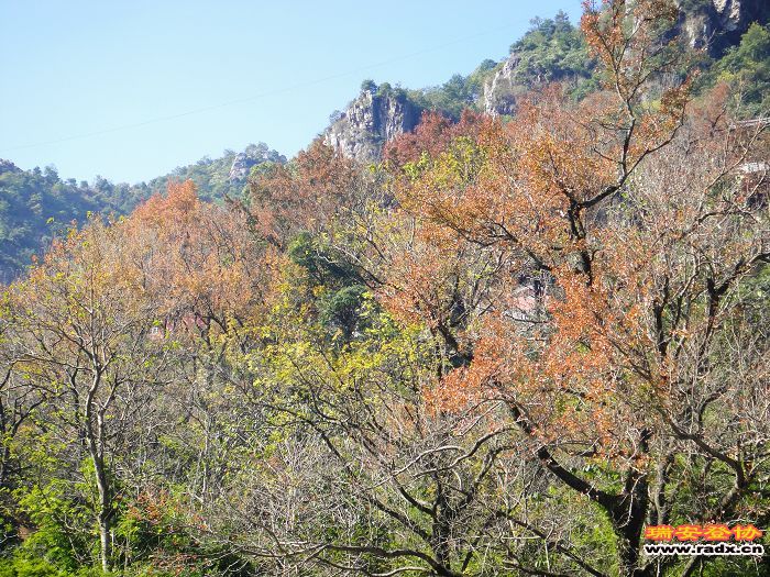 nEO_IMG_DSC03223.jpg