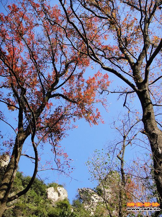 nEO_IMG_旋转 DSC03219.jpg