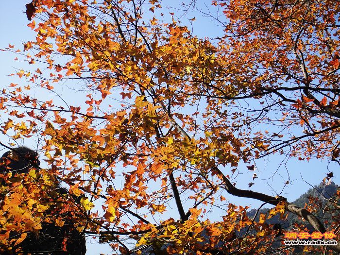 nEO_IMG_DSC03208.jpg