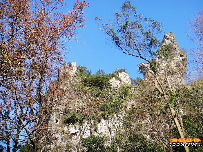 nEO_IMG_DSC03218.jpg