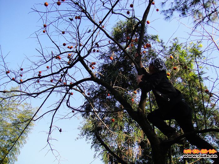 nEO_IMG_DSC03253.jpg
