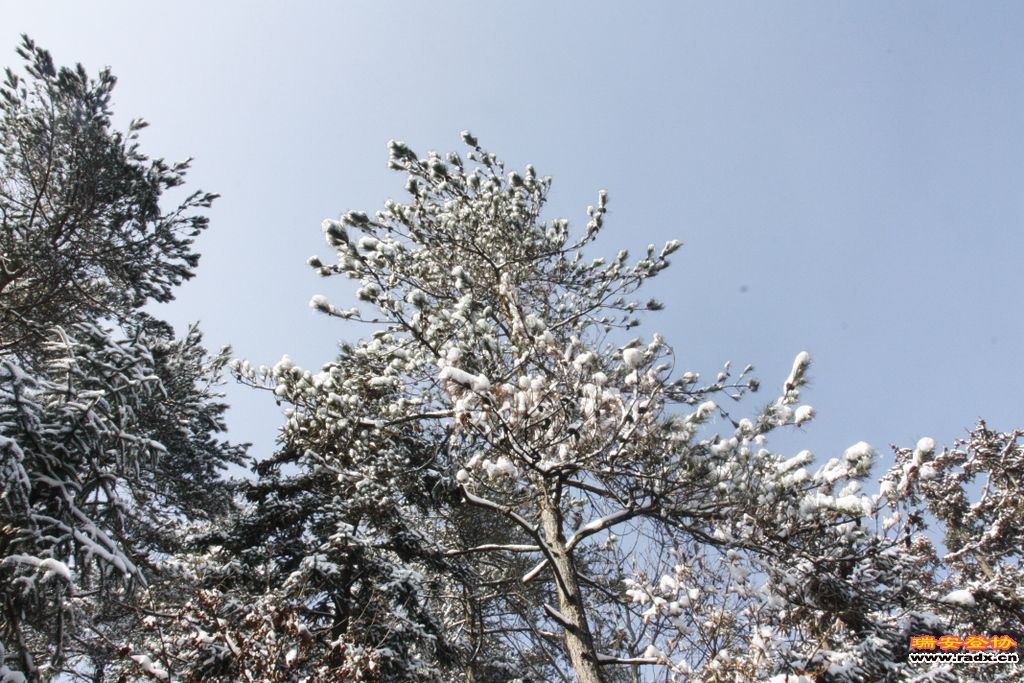 _MG_2581.JPG