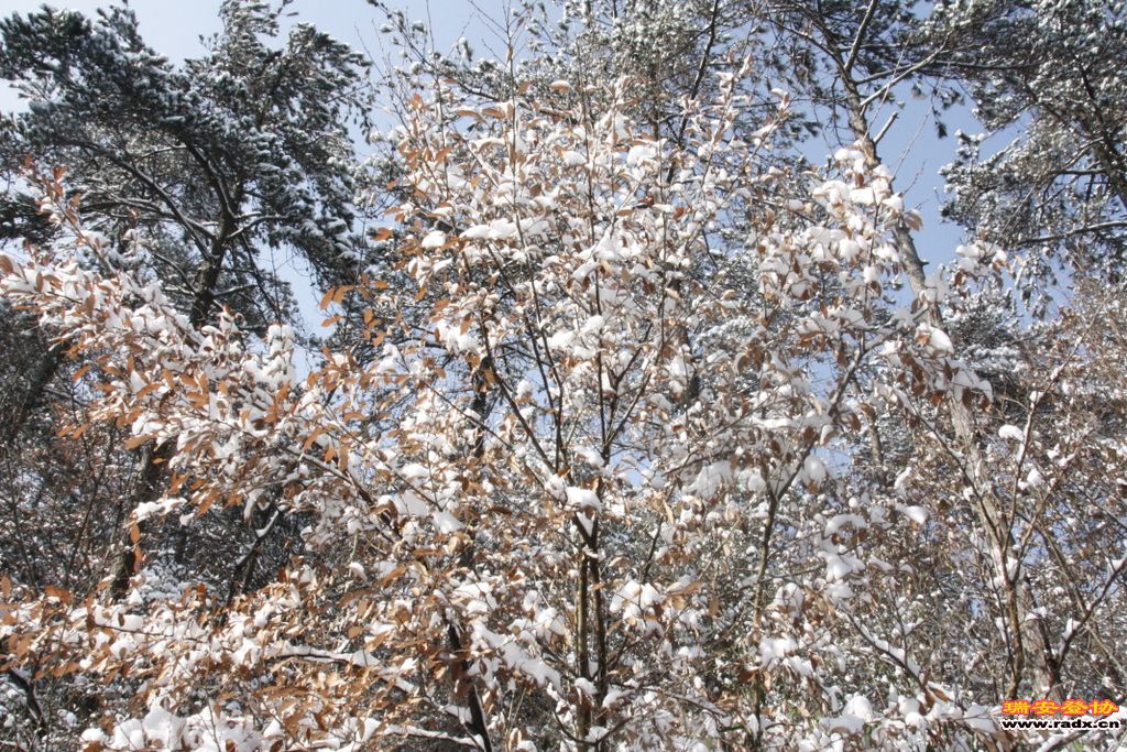 _MG_2582.JPG