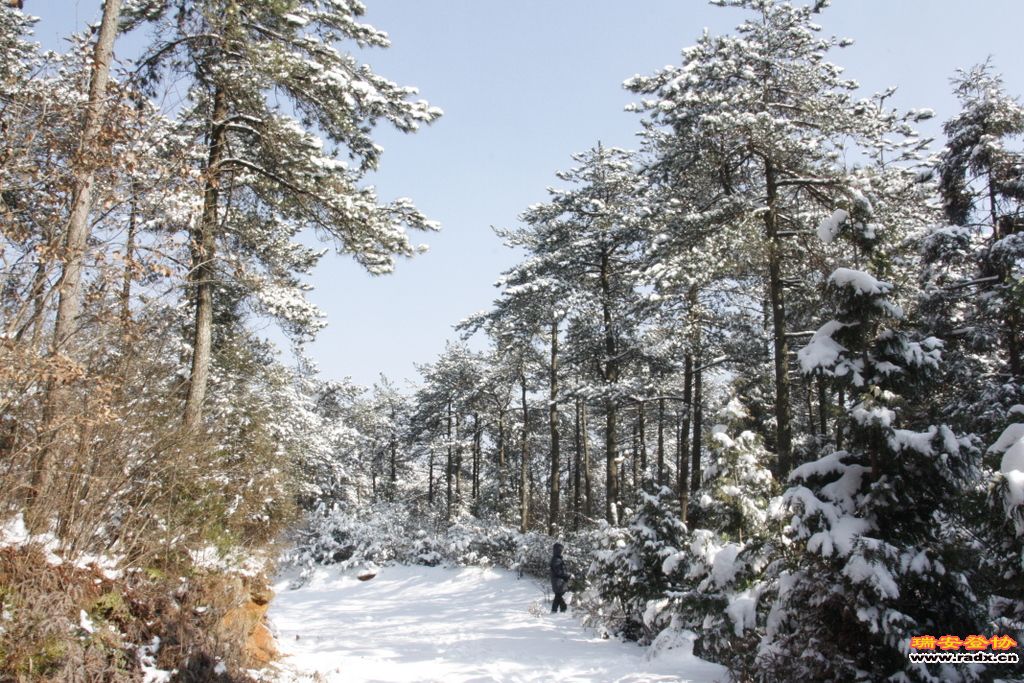 _MG_2597.JPG