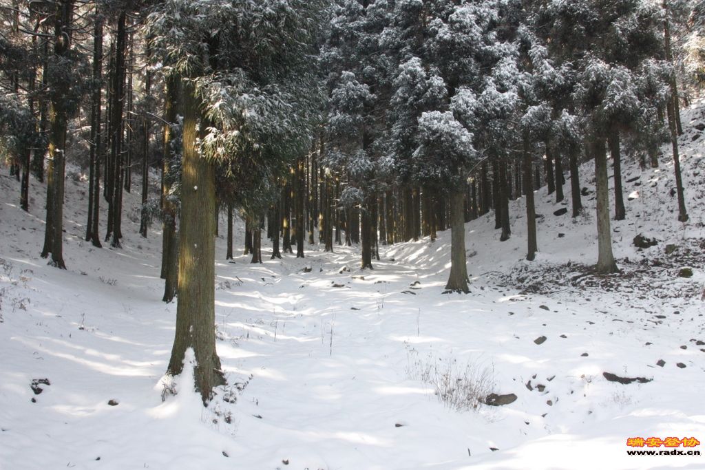 _MG_2627.JPG