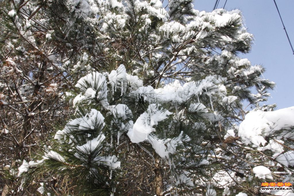 _MG_2636.JPG