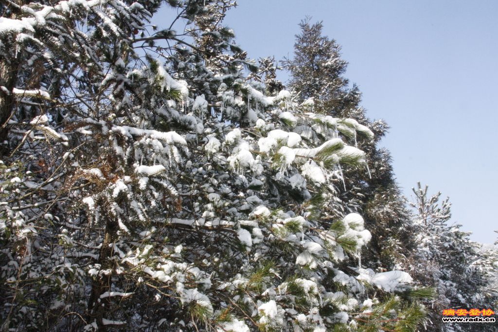 _MG_2645.JPG
