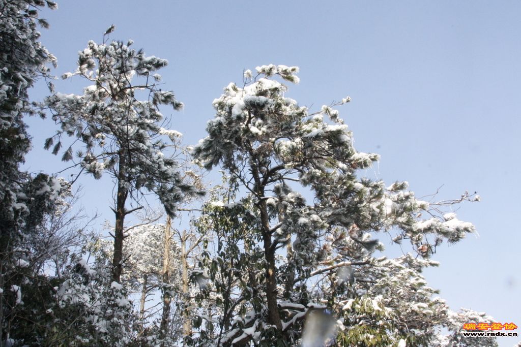 _MG_2670.JPG