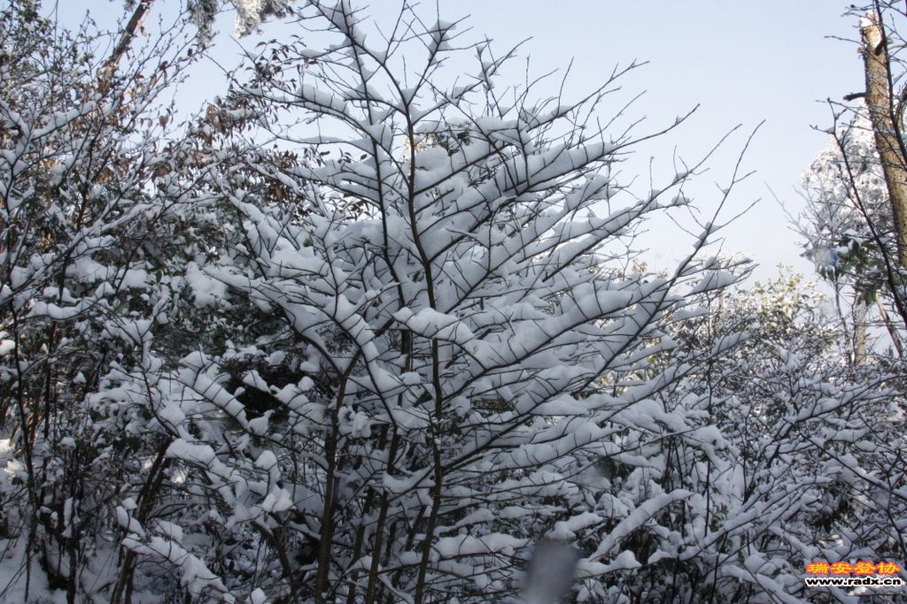 _MG_2676.JPG