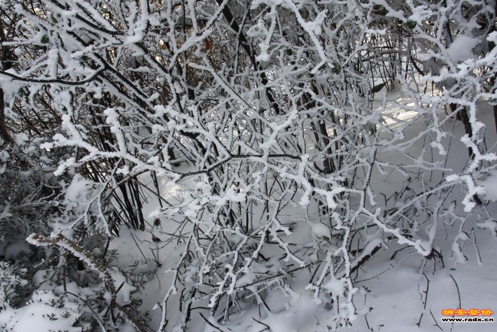 _MG_2694.JPG