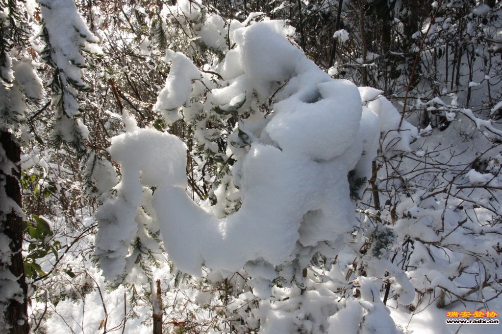 _MG_2700.JPG