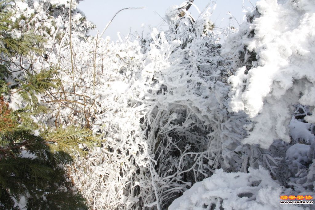 _MG_2773.JPG